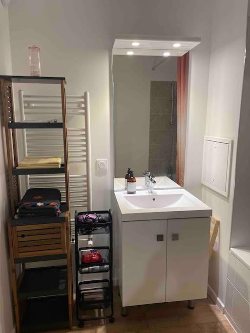 Prego , Cosy Flat Next To Disneylandparis Шантелу Ан Бри Екстериор снимка